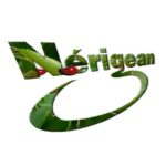 Logo de la ville de Nérigean